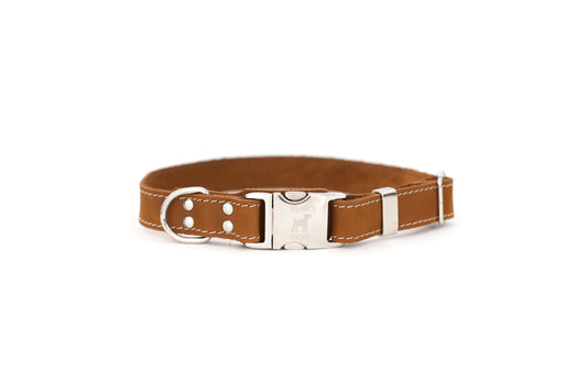 Bestseller Quick-Release Earth Brown Leather Dog Collar with Metal Buckle Euro-Dog Collars and Leads