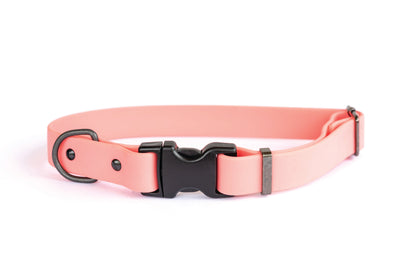 Waterproof Coral Reef Super Soft PVC Dog Collar Euro-Dog Collars and Leads