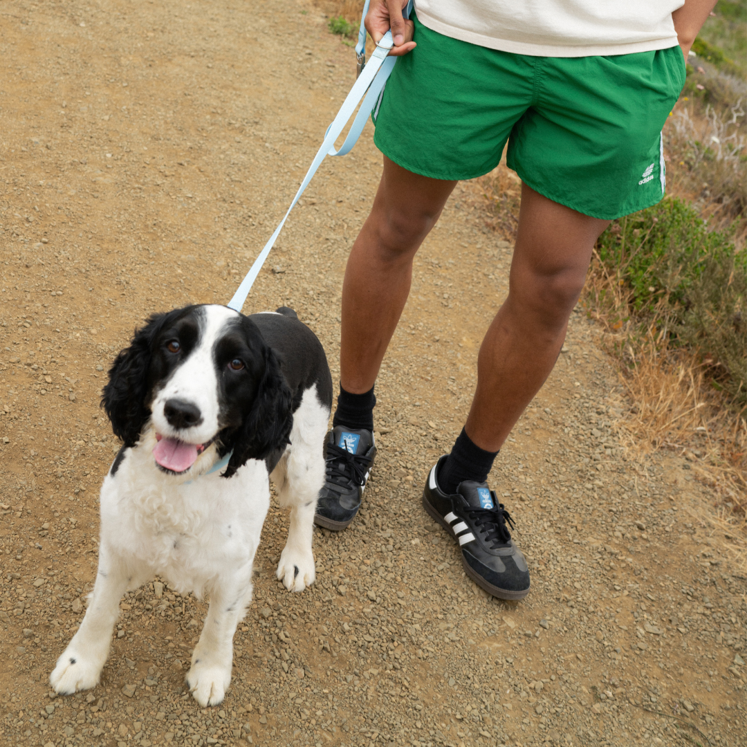 Waterproof Dog Leash - 5ft
