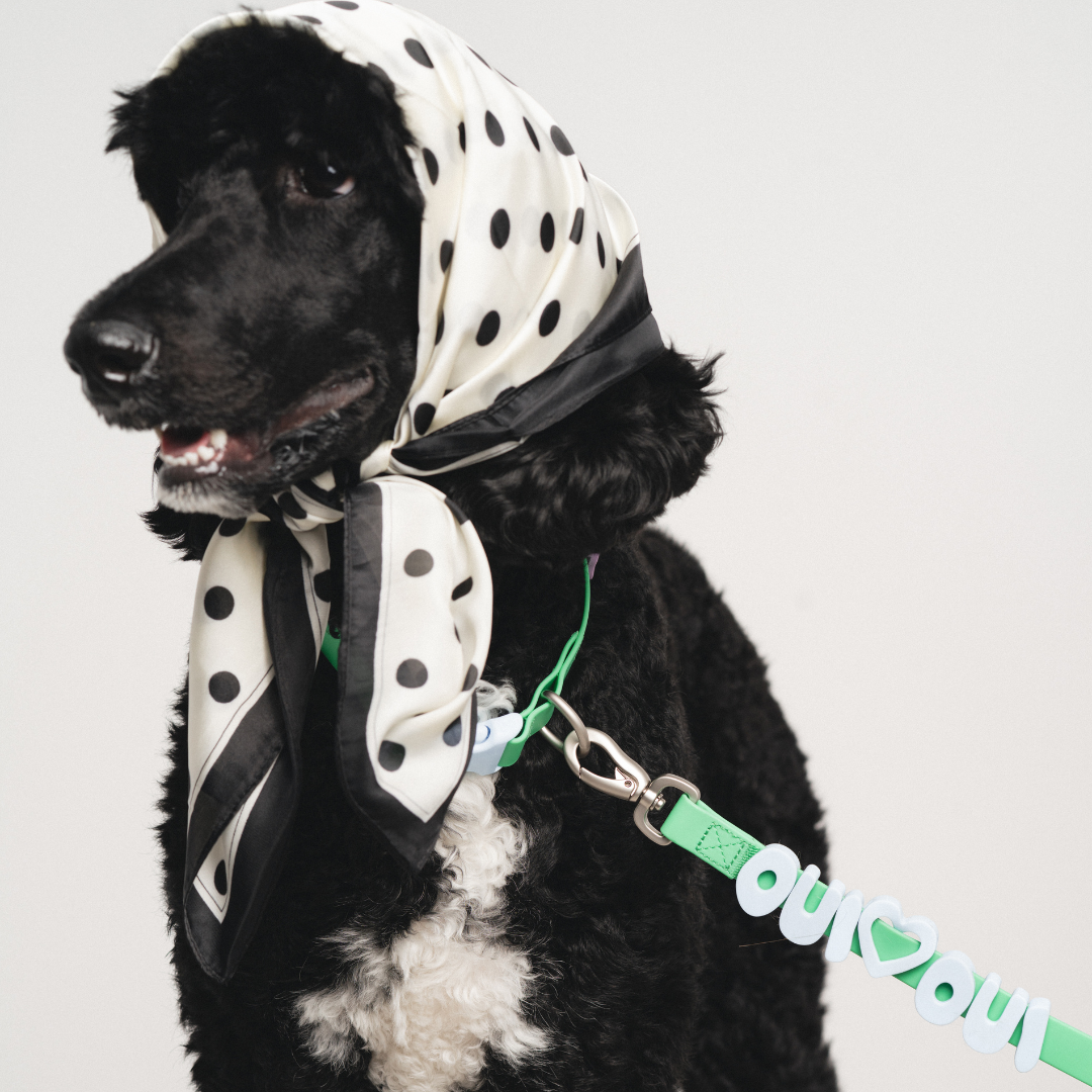 Waterproof Dog Leash - 5ft