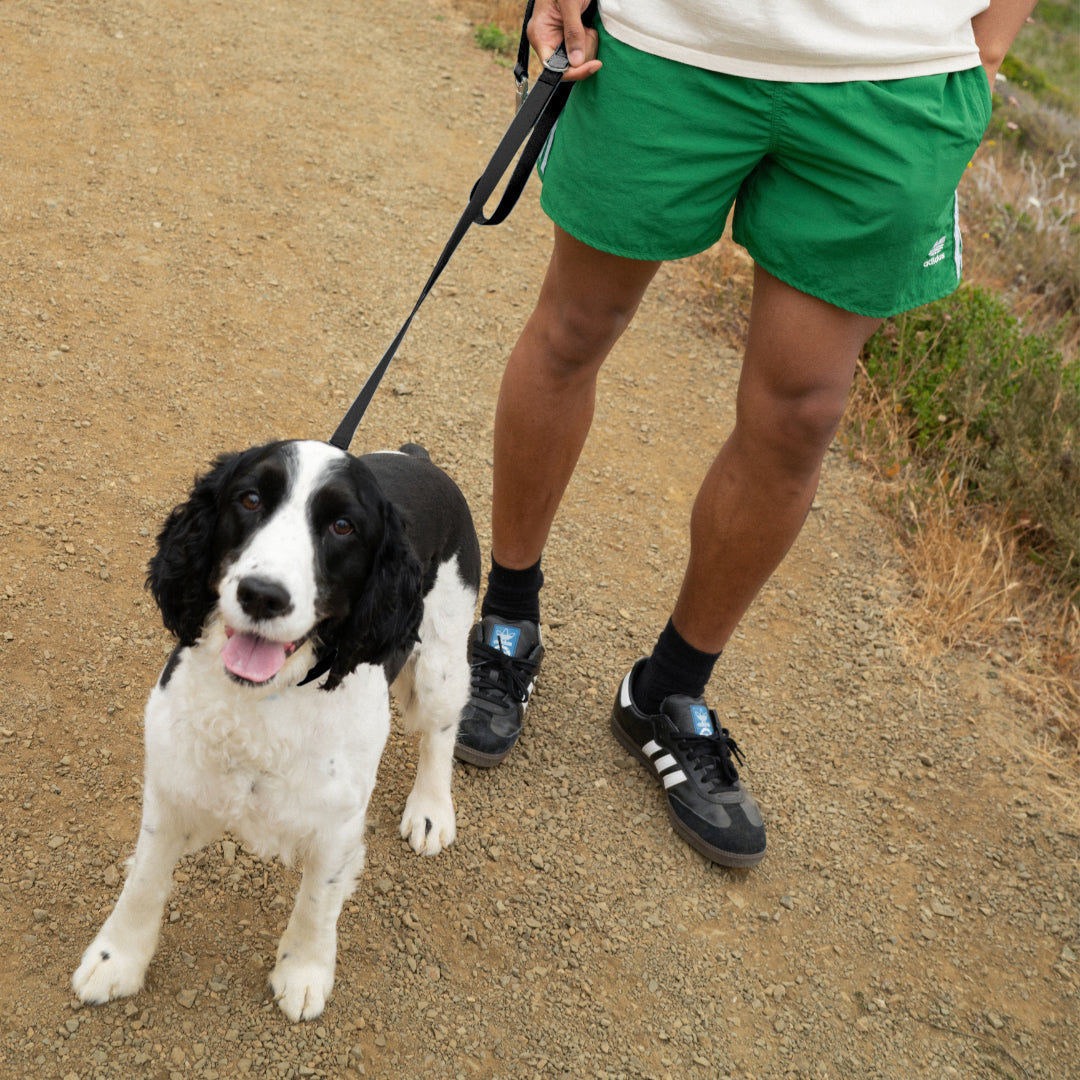 Waterproof Dog Leash - 5ft