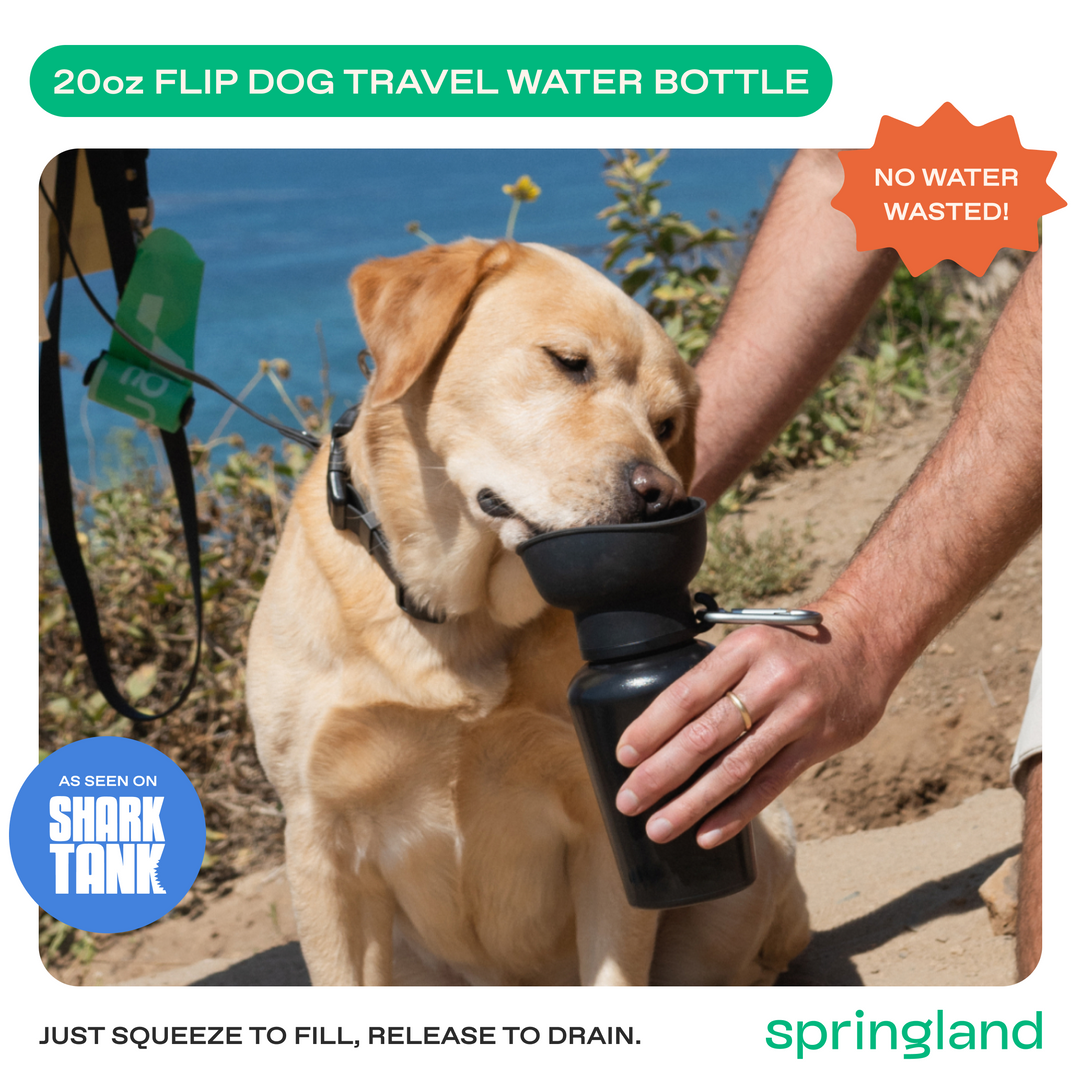 20oz Flip Travel Dog Water Bottle