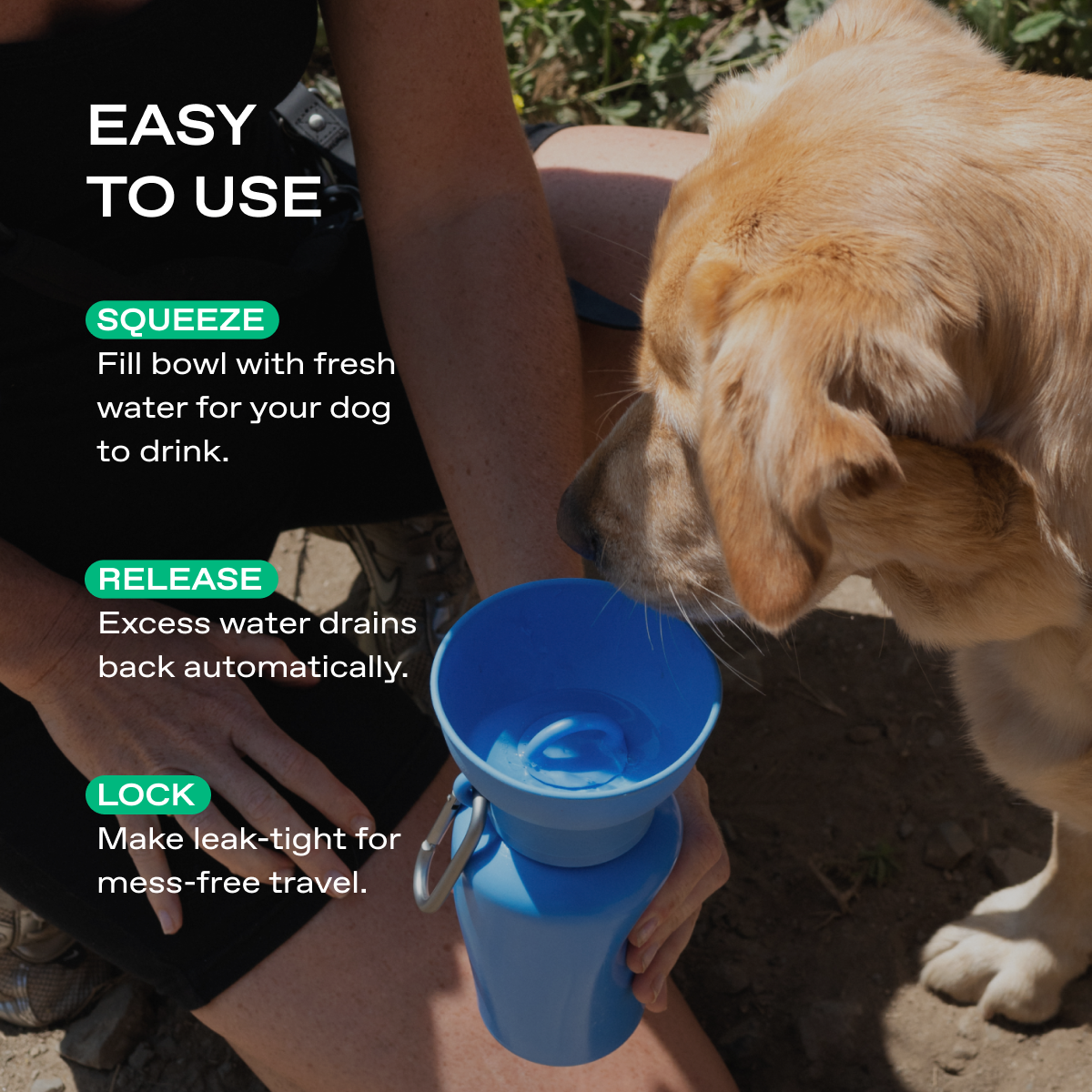 20oz Flip Dog Travel Water Bottle Springland Pets