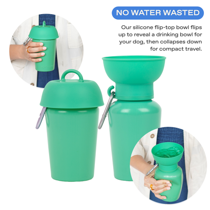 20oz Flip Dog Travel Water Bottle Springland Pets