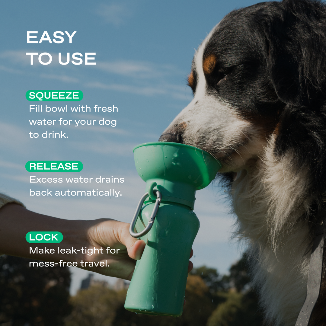 20oz Flip Travel Dog Water Bottle