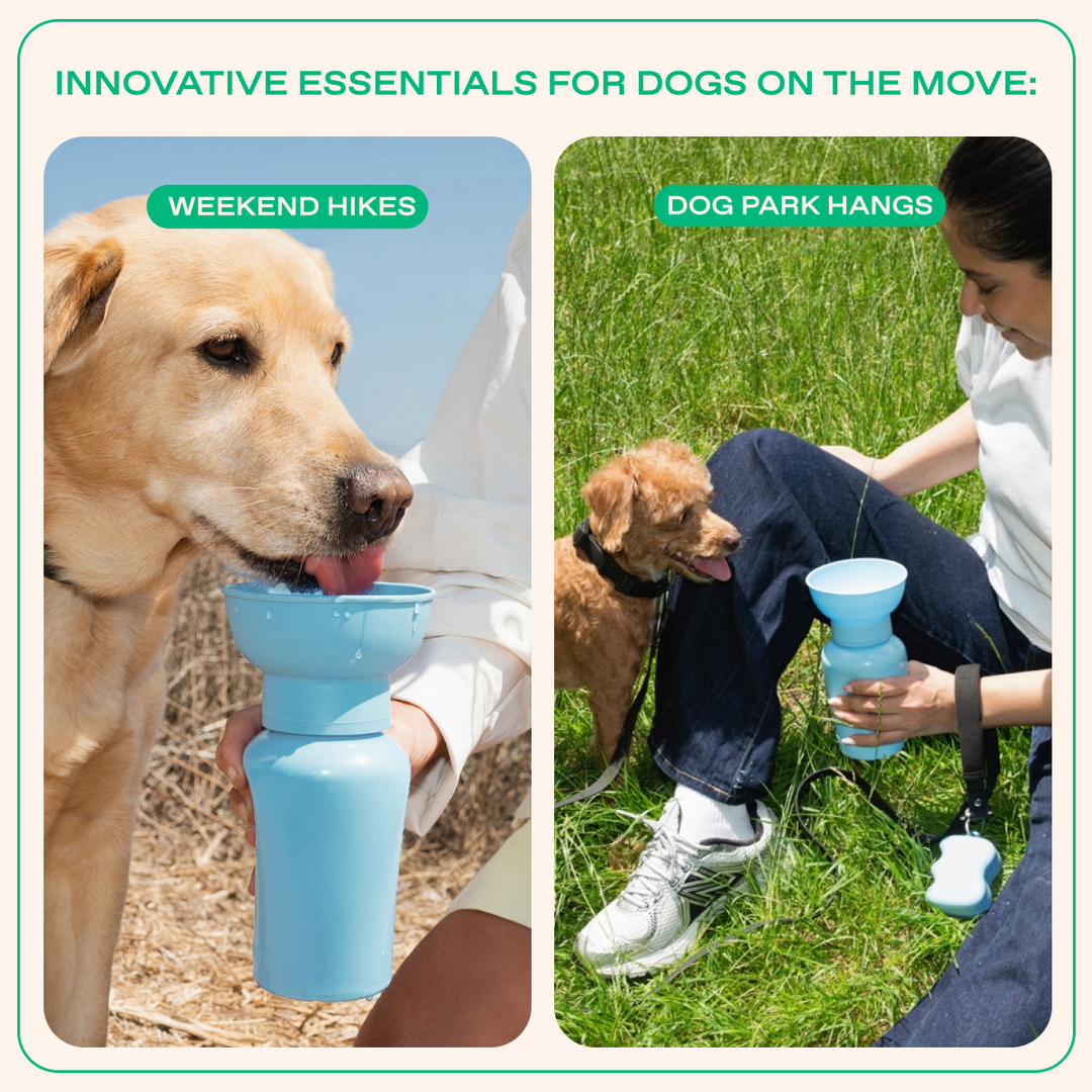 20oz Flip Travel Dog Water Bottle