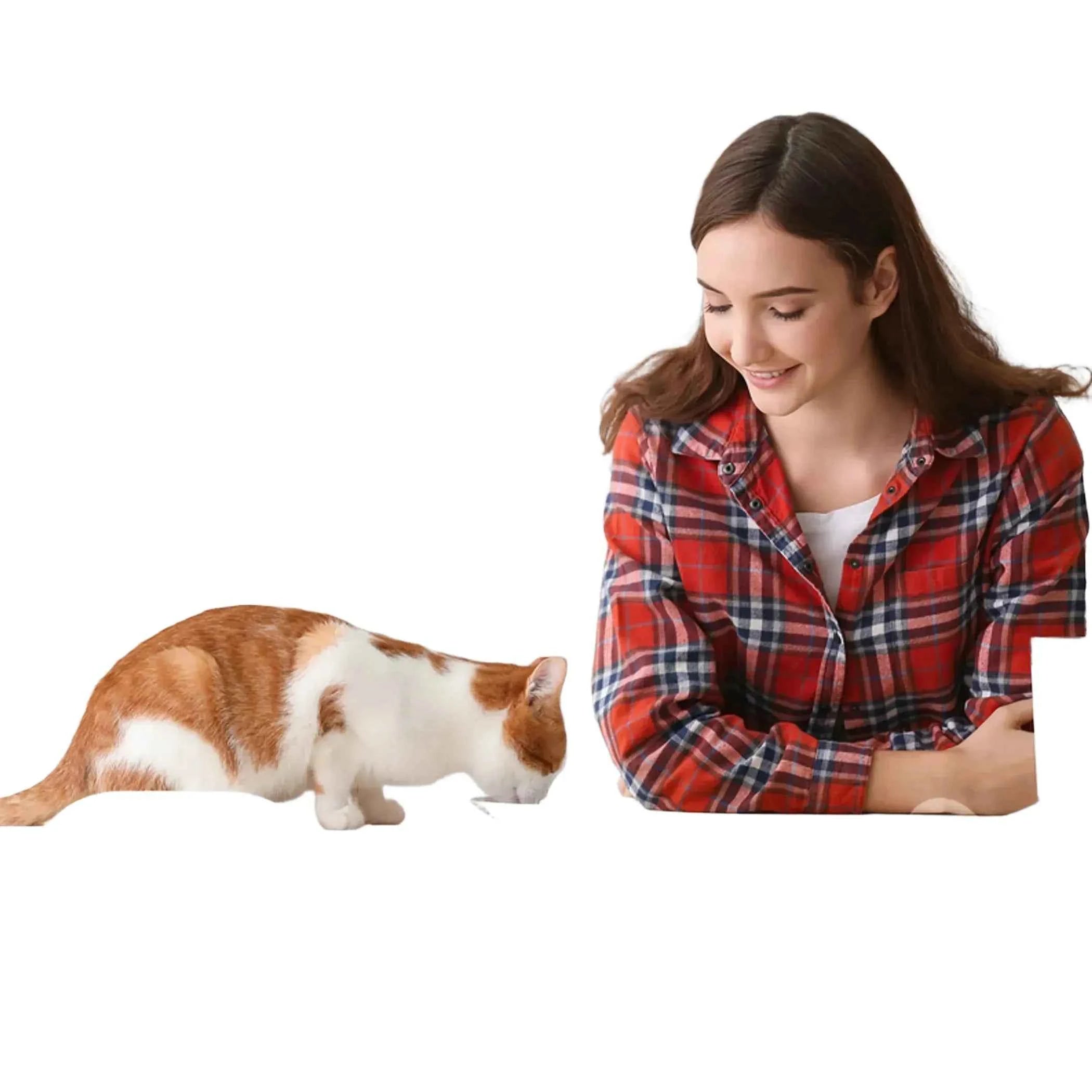 Forza10 ActiWet Diabetic Support Icelandic Fish Cat Food