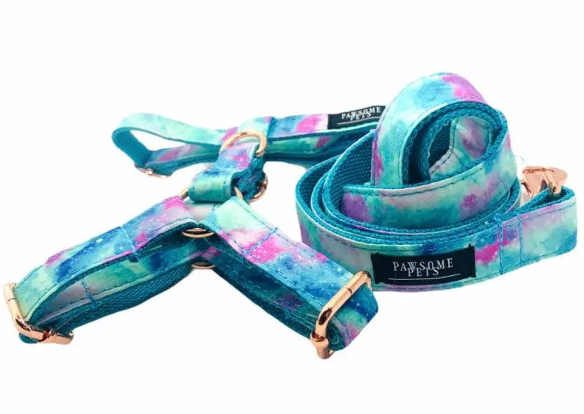 STEP IN BUNDLE - SKY (2 PIECES) PAWSOME PETS