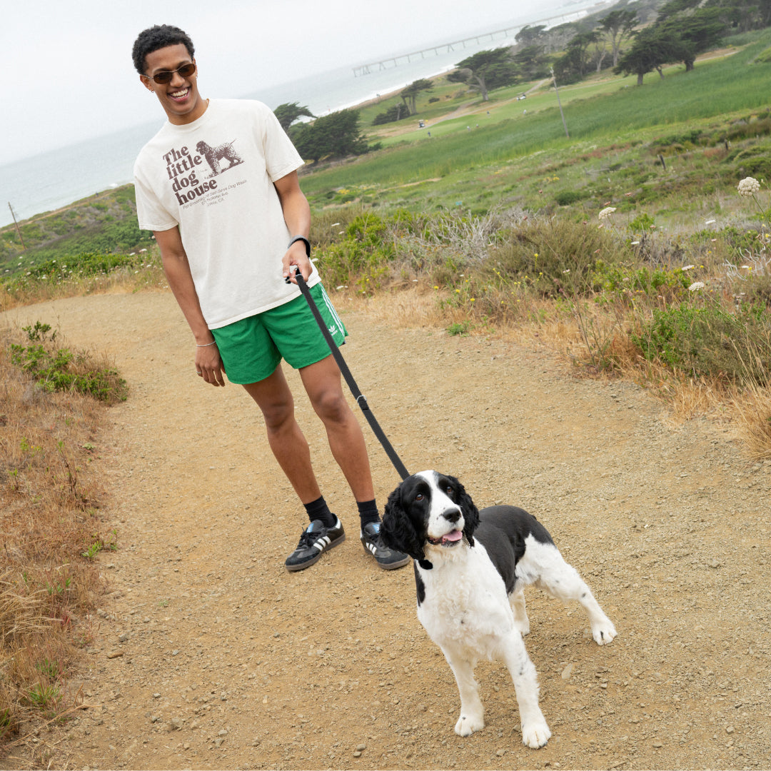 Waterproof Dog Leash - 5ft