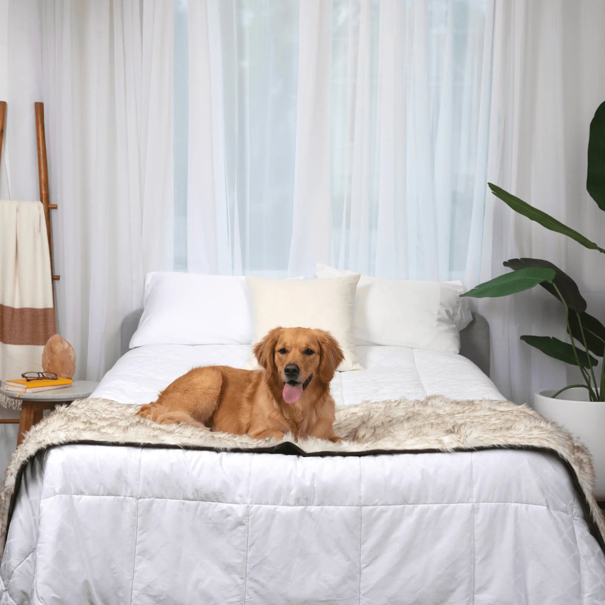PupProtector™ Waterproof Bed Runner - White with Brown Accents Paw.com
