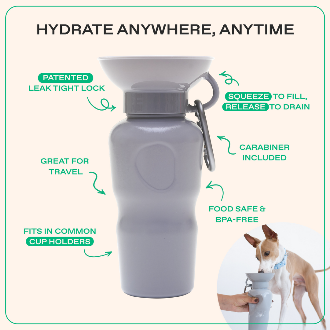 22oz Original Travel Dog Water Bottle