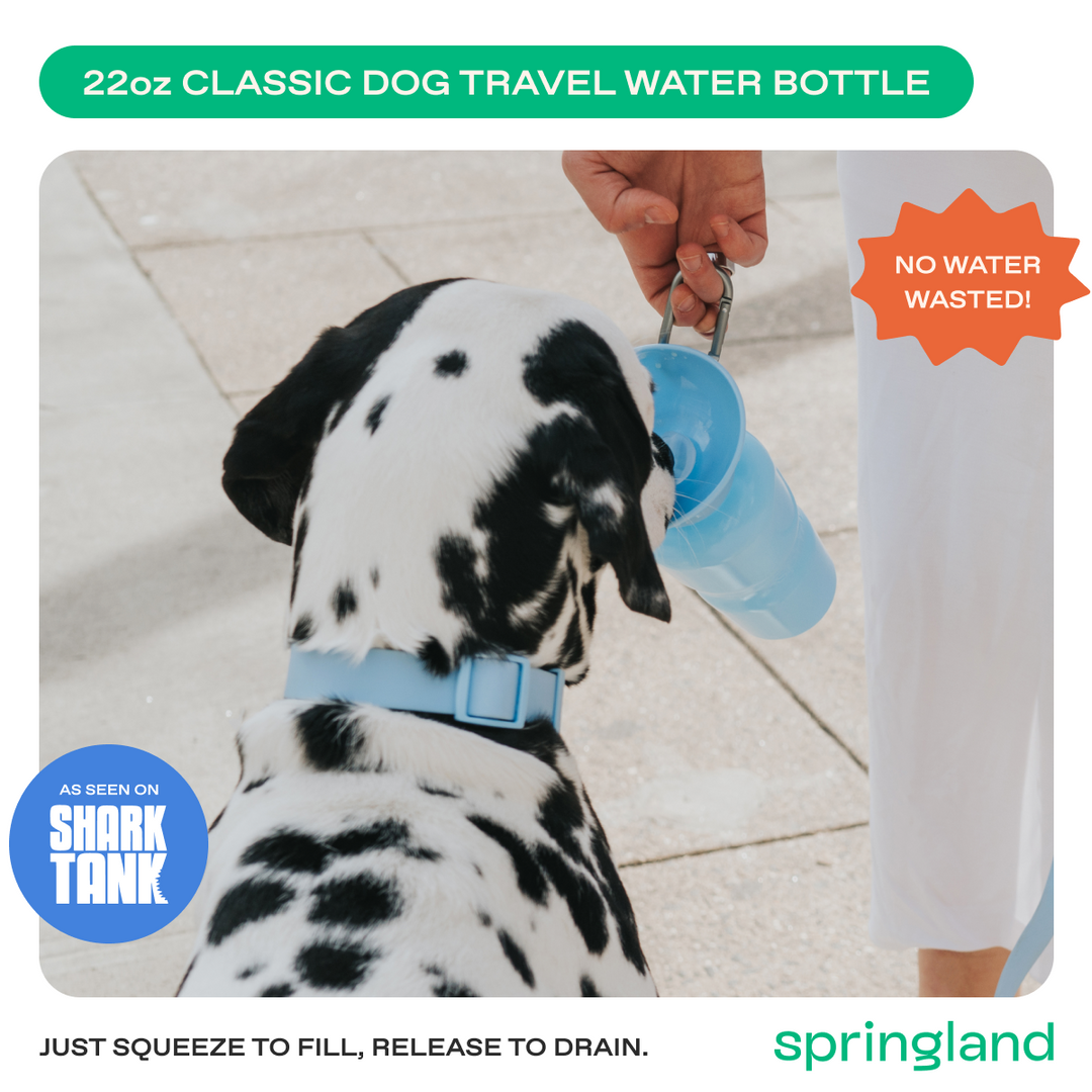 22oz Original Travel Dog Water Bottle