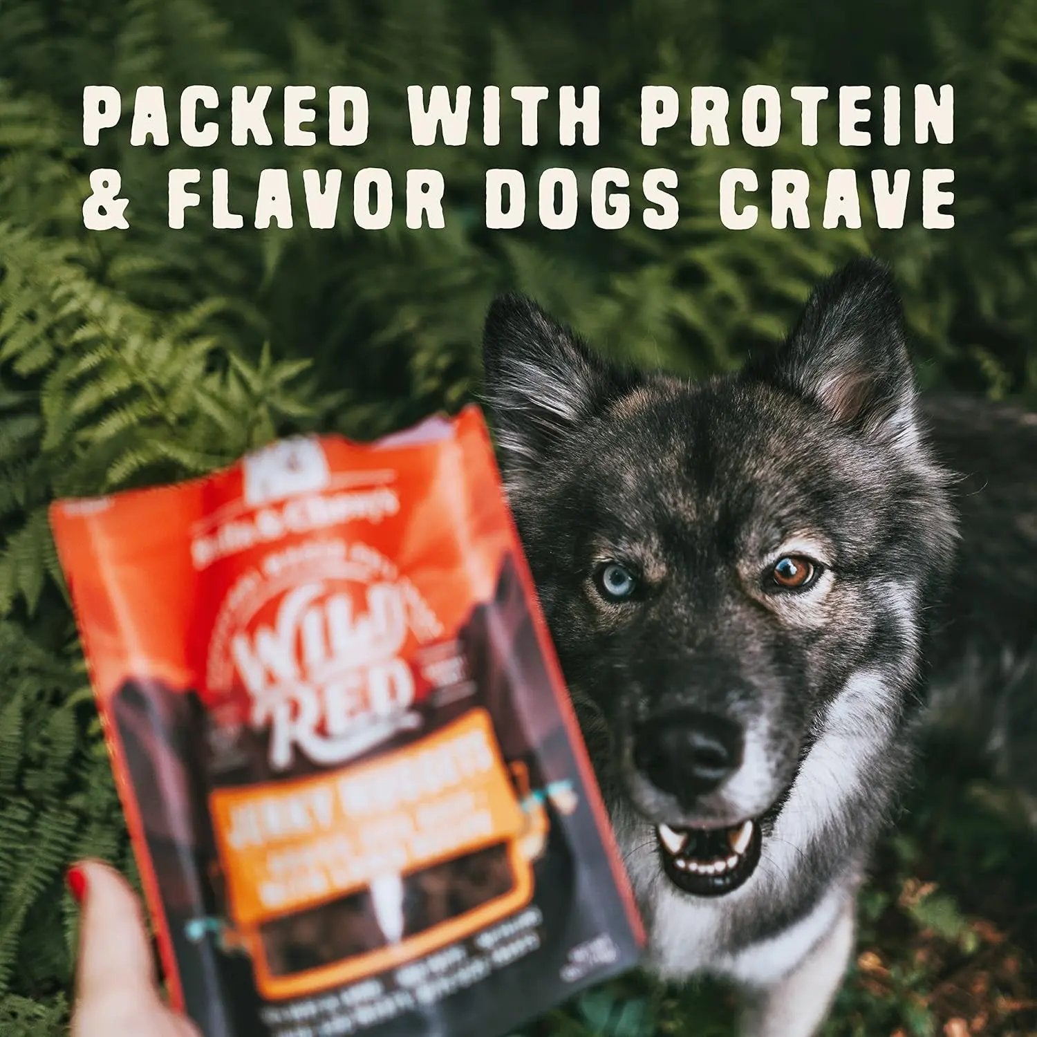 Wild Red Jerky Nuggets - 90% Protein-Rich Chicken & Duck Dog Treats - Grain-Free Training Rewards for All Breeds - Made in USA - 6 Oz Bag