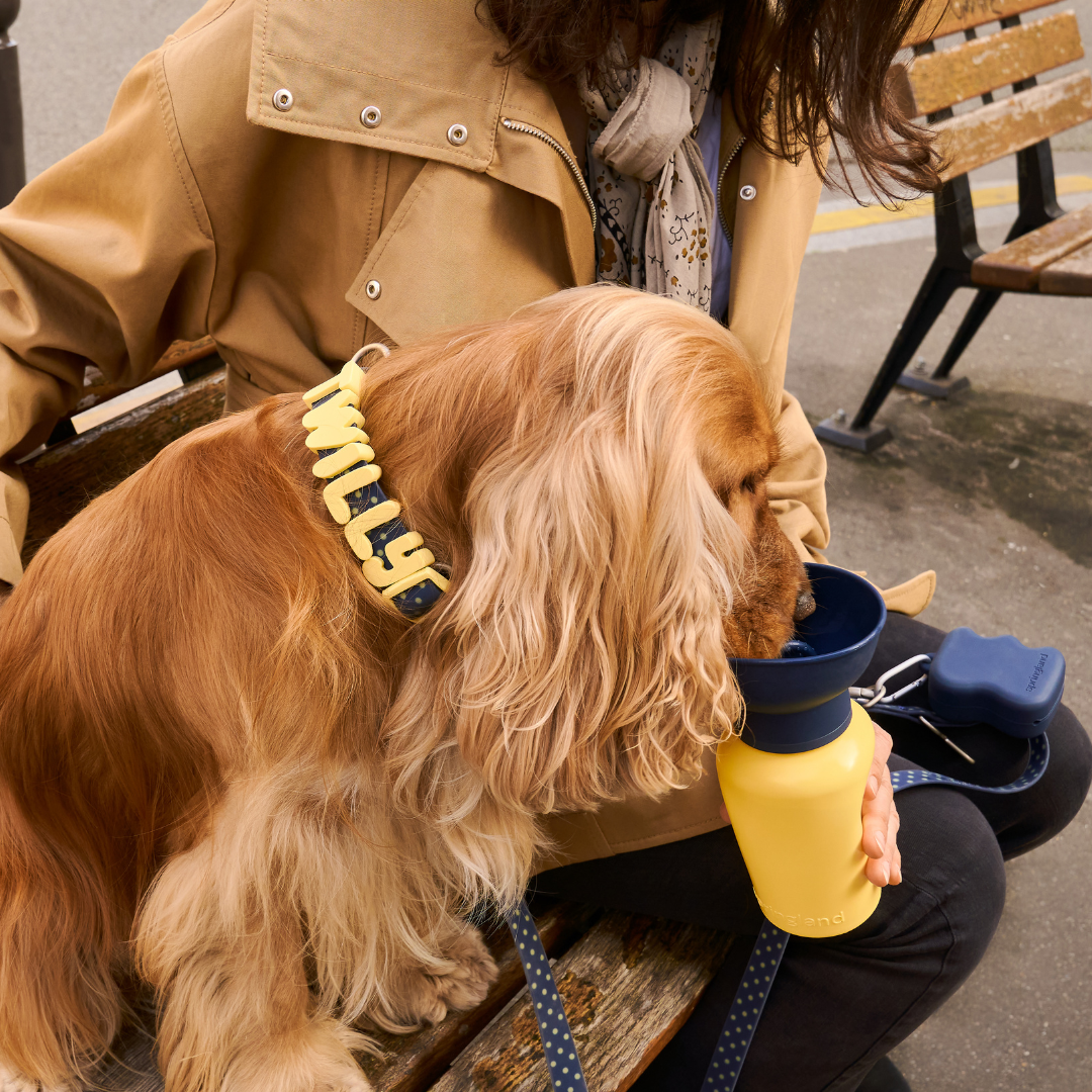 Waterproof Dog Collar
