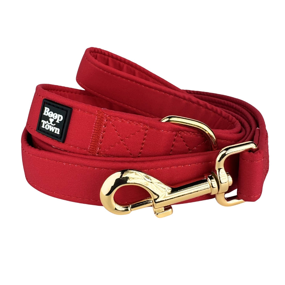 Boop Town 5ft Soft Cotton Dog Leashes with Metal Hardware