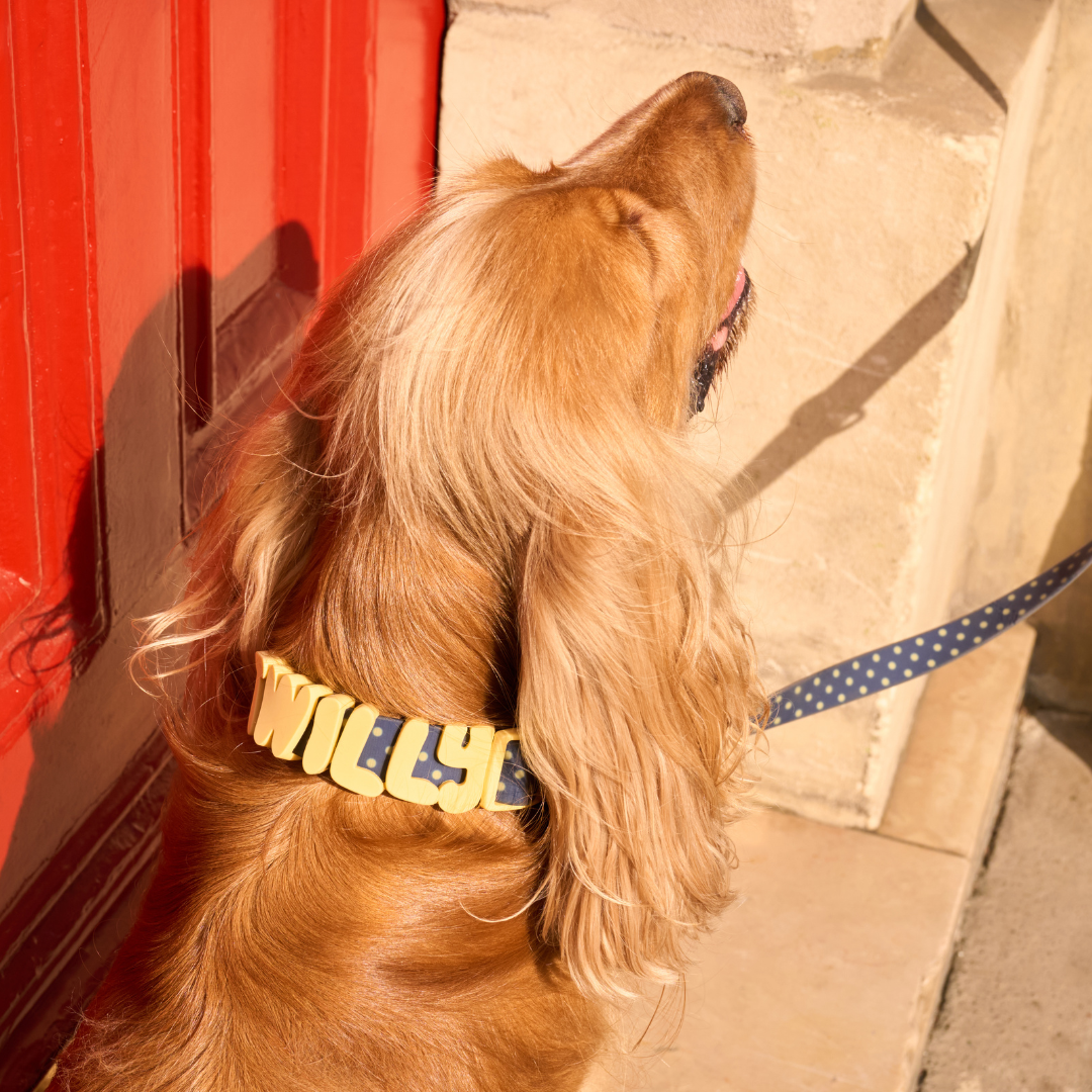 Waterproof Dog Collar