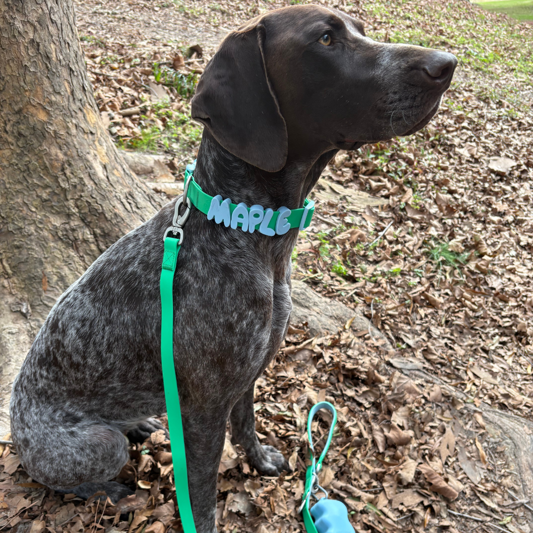 Waterproof Dog Leash - 5ft