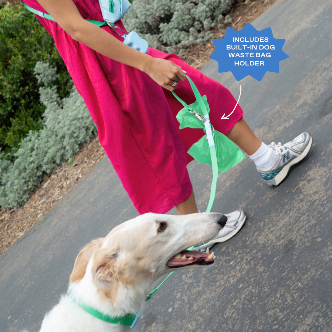 Waterproof Dog Leash - 5ft