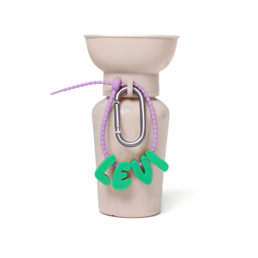 20oz Flip Dog Travel Water Bottle Springland Pets