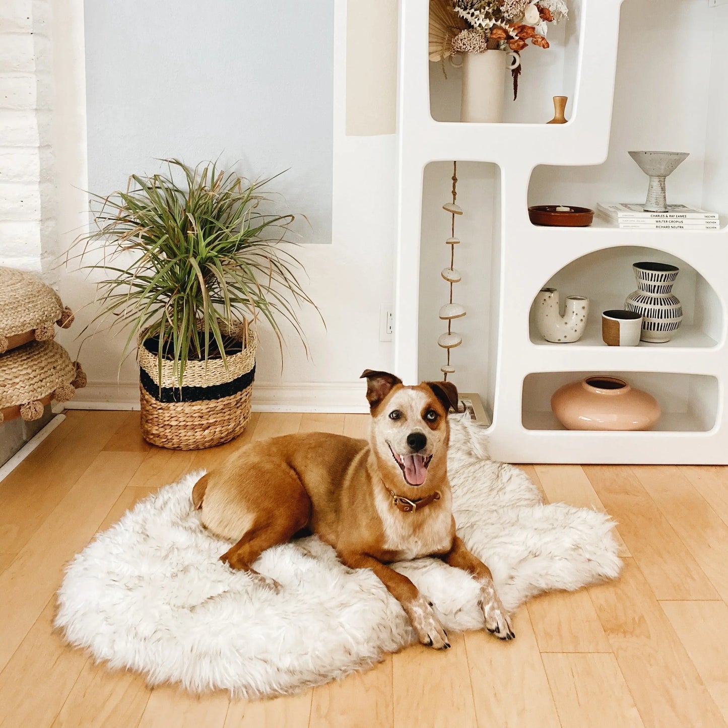 PupRug by Paw.com™ Faux Fur Orthopedic Dog Bed - Curve White with Brown Accents Paw.com