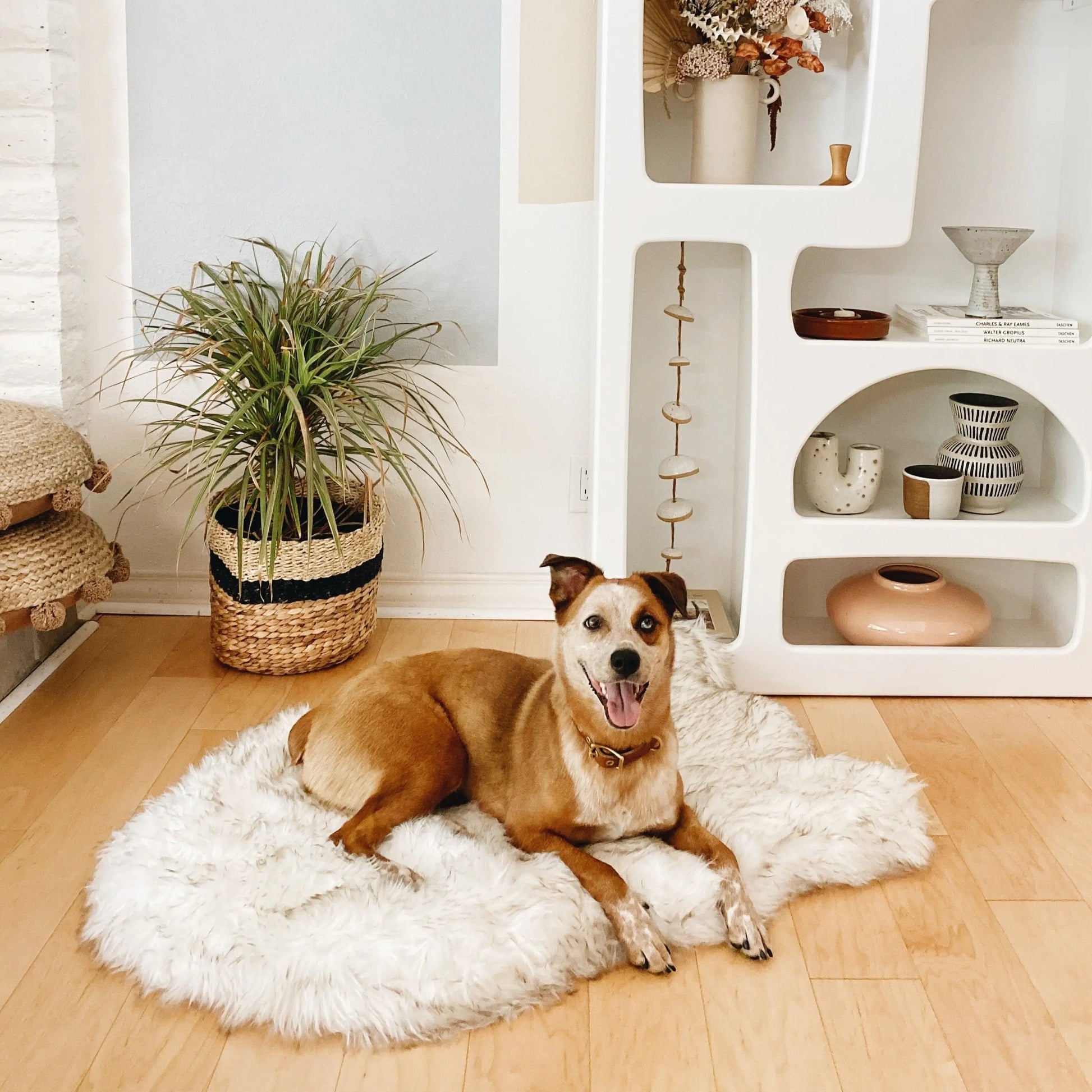 PupRug by Paw.com™ Faux Fur Orthopedic Dog Bed - Curve White with Brown Accents Paw.com