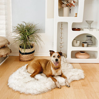 PupRug by Paw.com™ Faux Fur Orthopedic Dog Bed - Curve White with Brown Accents Paw.com