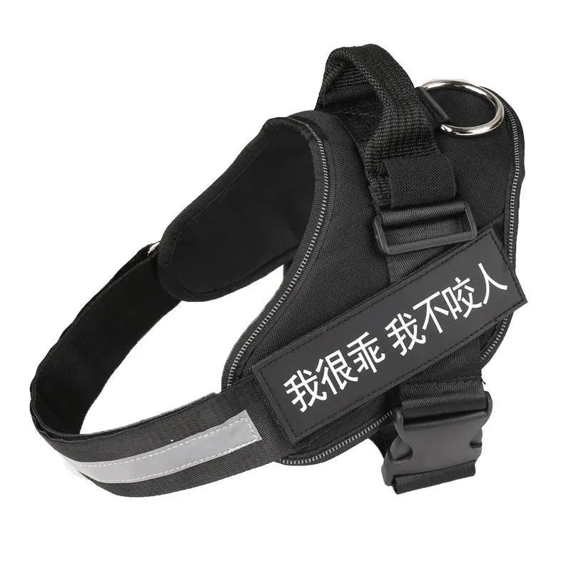 Ultimate Pet Adventure Set: Adjustable Chest Harness With Dog Leash