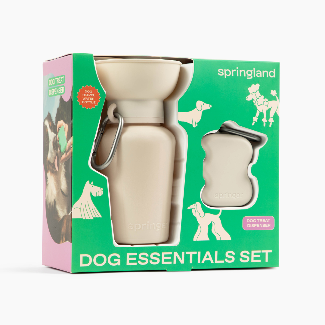 Dog Essentials Gift Box Set