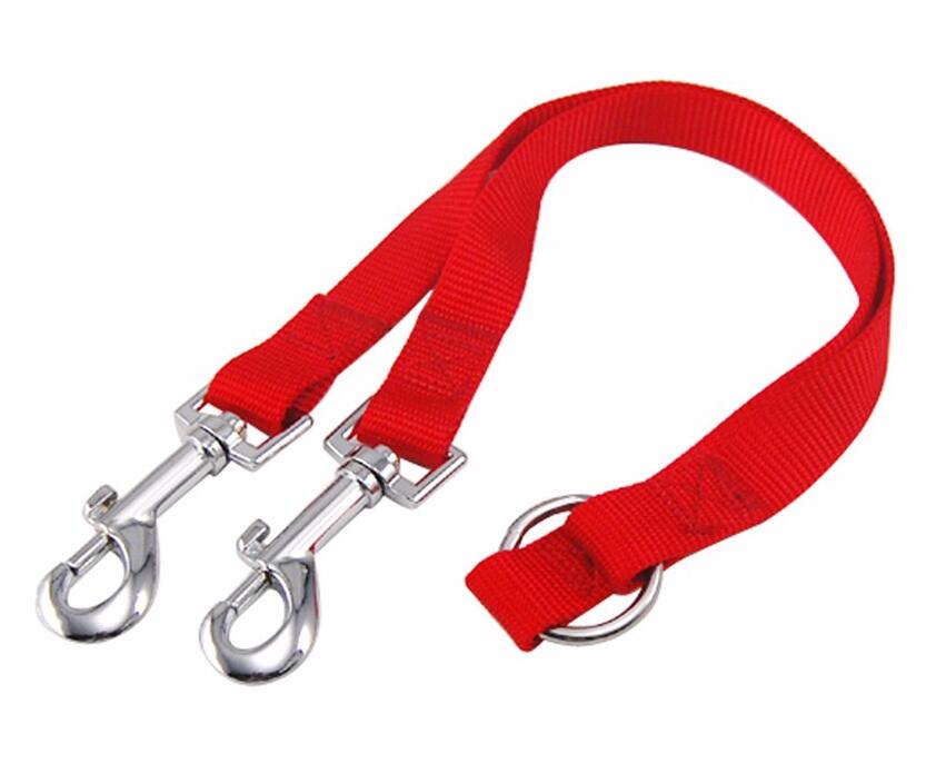 Double Dog Leash