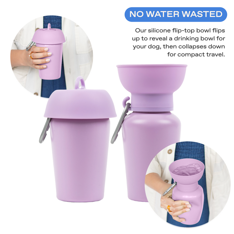 20oz Flip Travel Dog Water Bottle