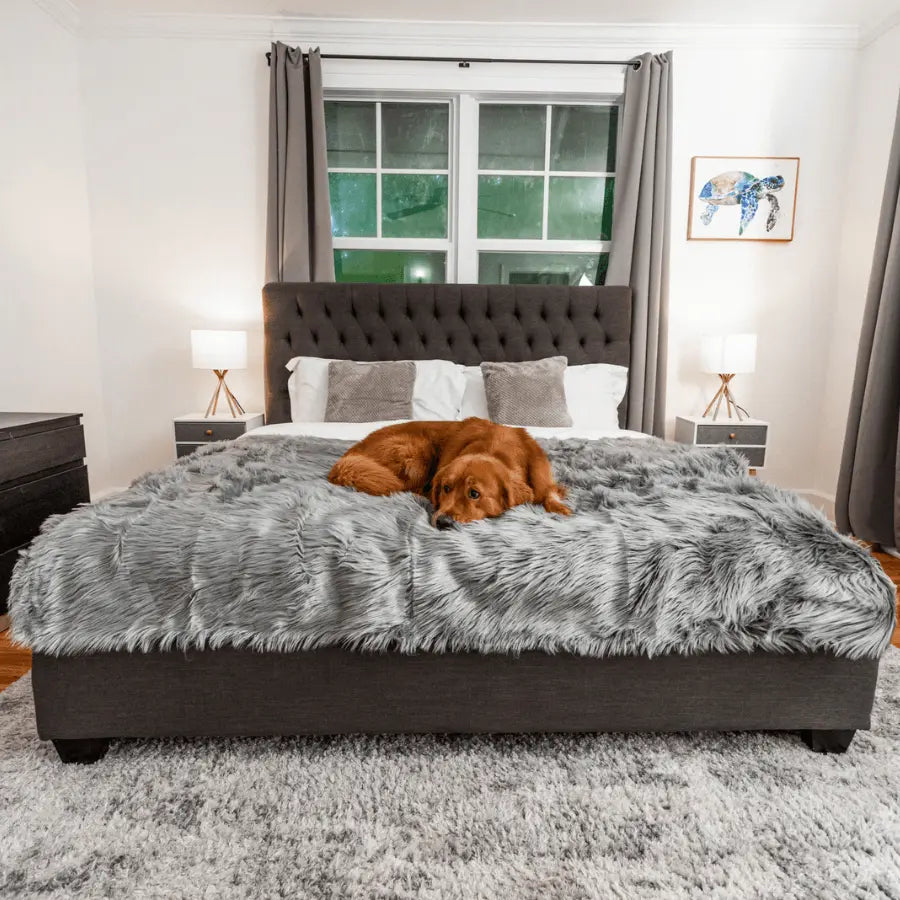 PupProtector™ Waterproof Throw Blanket - Charcoal Grey Paw.com