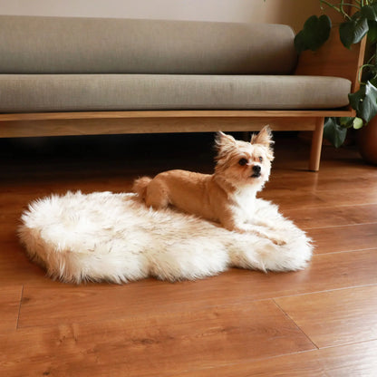 PupRug by Paw.com™ Faux Fur Orthopedic Dog Bed - Curve White with Brown Accents Paw.com