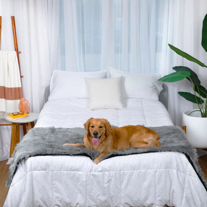 PupProtector™ Waterproof Bed Runner - Charcoal Grey Paw.com