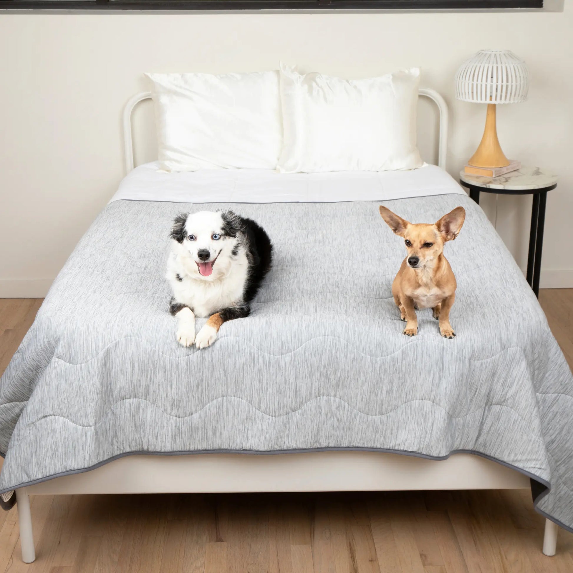 PupChill™ Cooling Waterproof Blanket - Arctic Grey Paw.com
