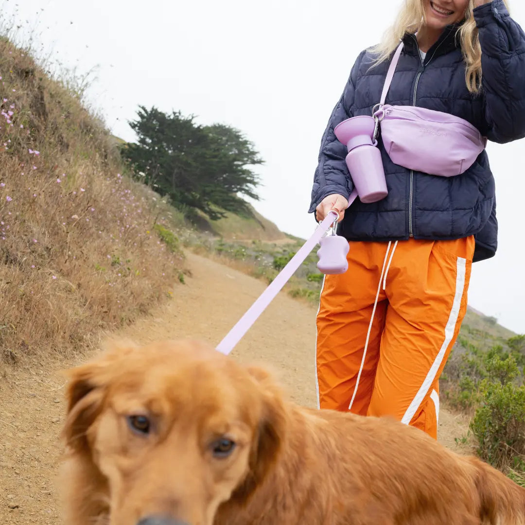 Hands-Free Dog Walking Bag with 4ft Leash Springland Pets