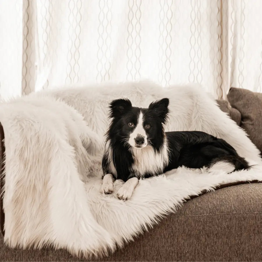 PupProtector™ Waterproof Throw Blanket - Polar White Paw.com