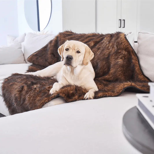 PupProtector™ Waterproof Throw Blanket - Brown Paw.com