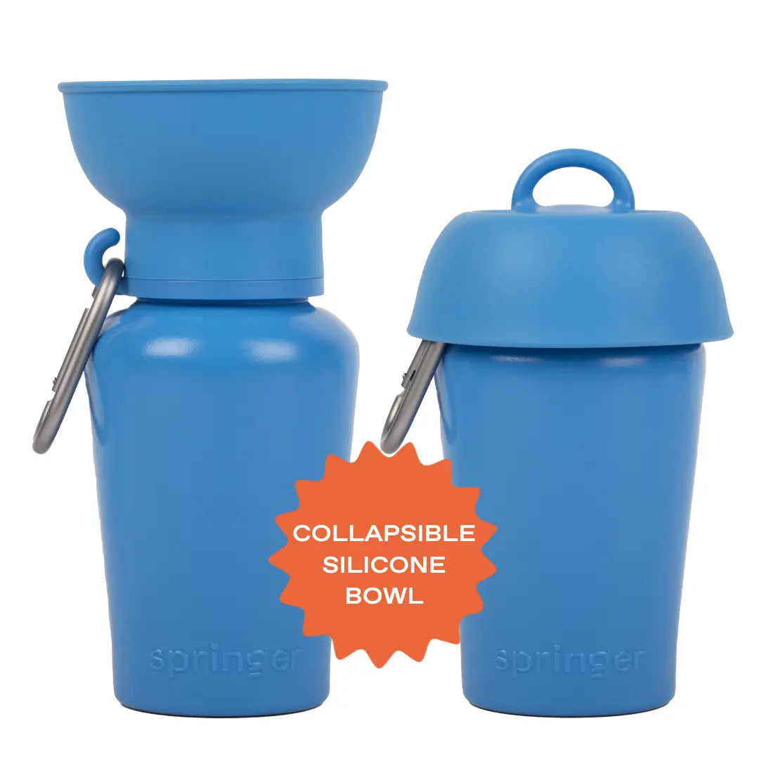 20oz Flip Travel Dog Water Bottle