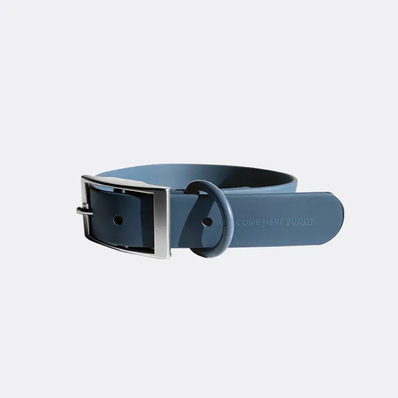 Everyday Collar - K9 Outdoors