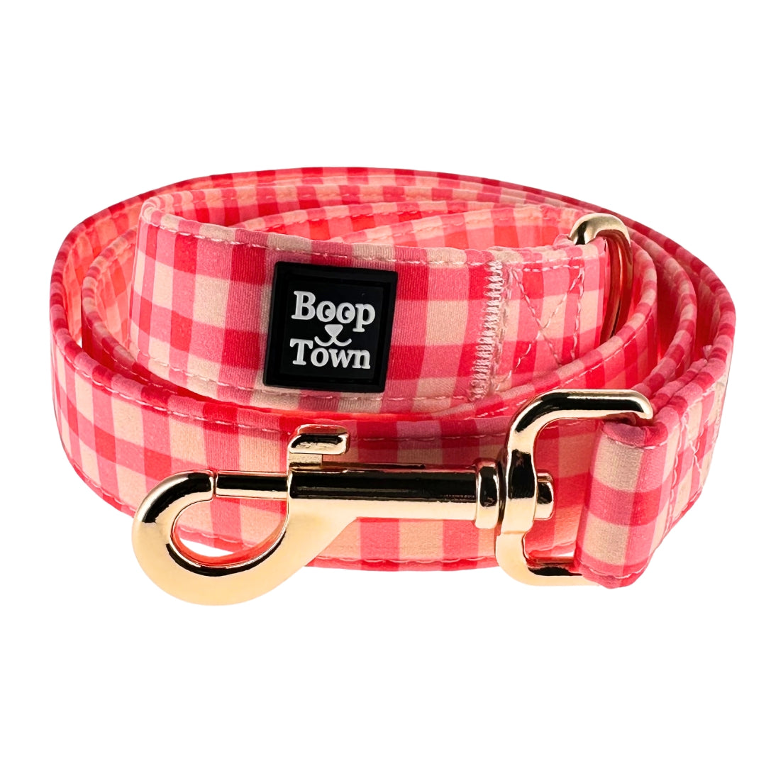 Boop Town 5ft Soft Cotton Dog Leashes with Metal Hardware