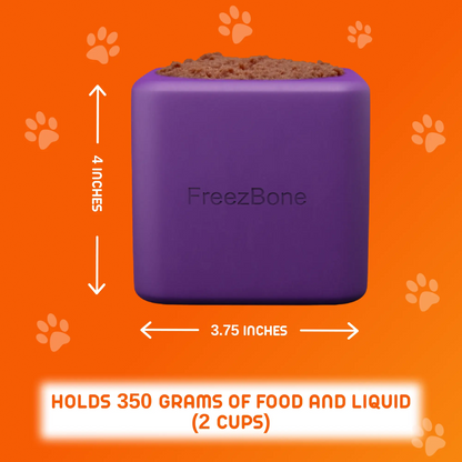 Freezbox - Super Tough Treat Toy Freezbone