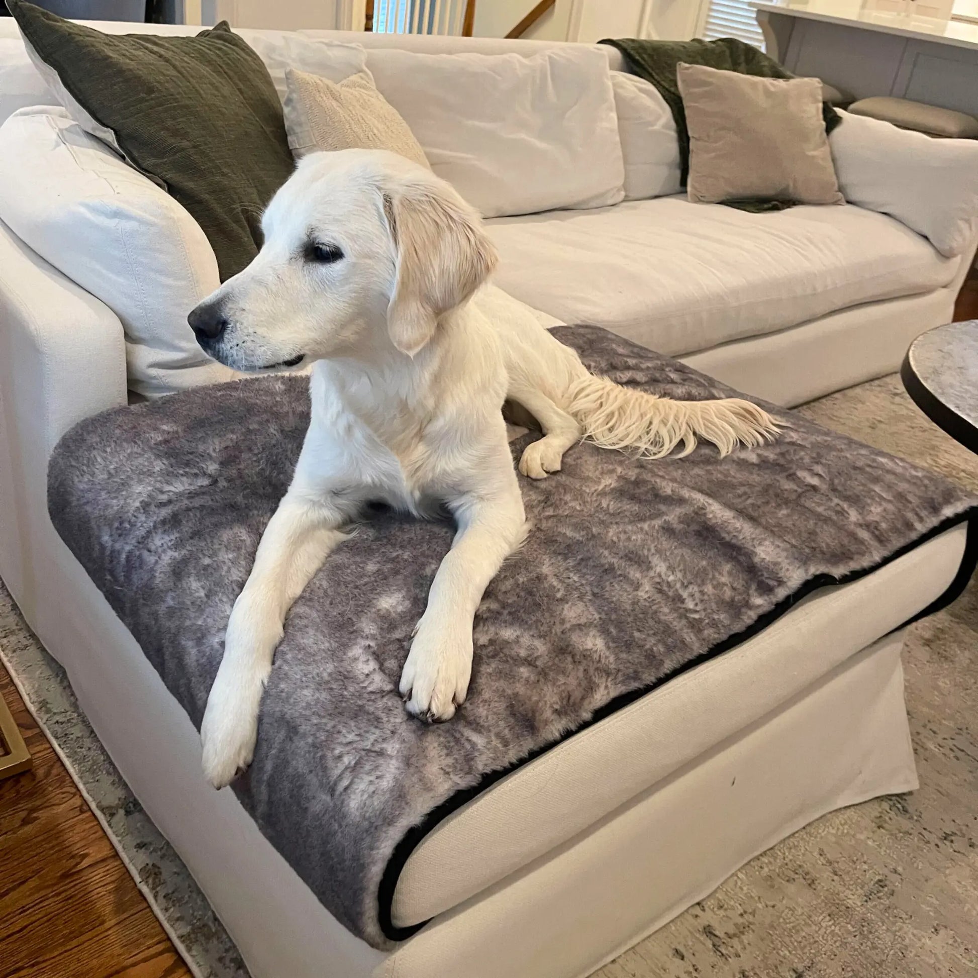 PupProtector™ Luxe Waterproof Bed Runner - Ultra Soft Chinchilla Paw.com
