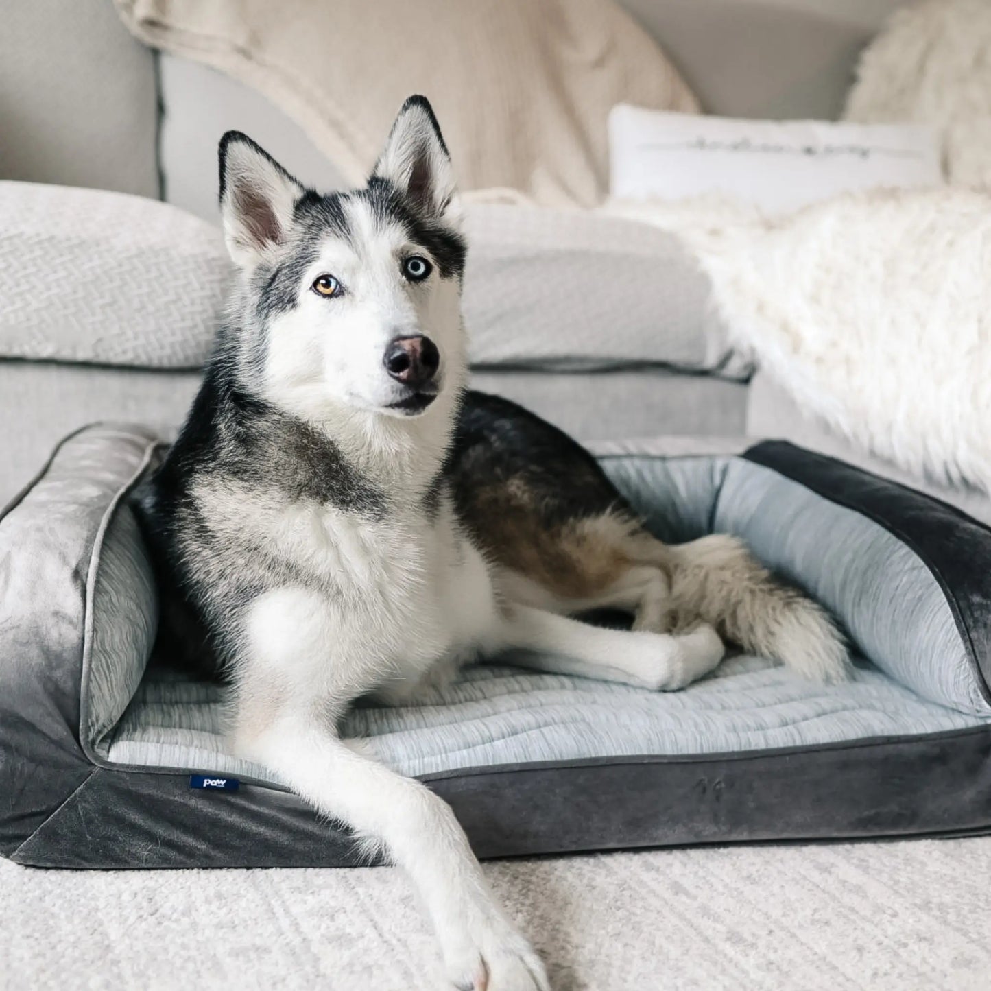 PupChill™ Cooling Bolster Dog Bed Paw.com
