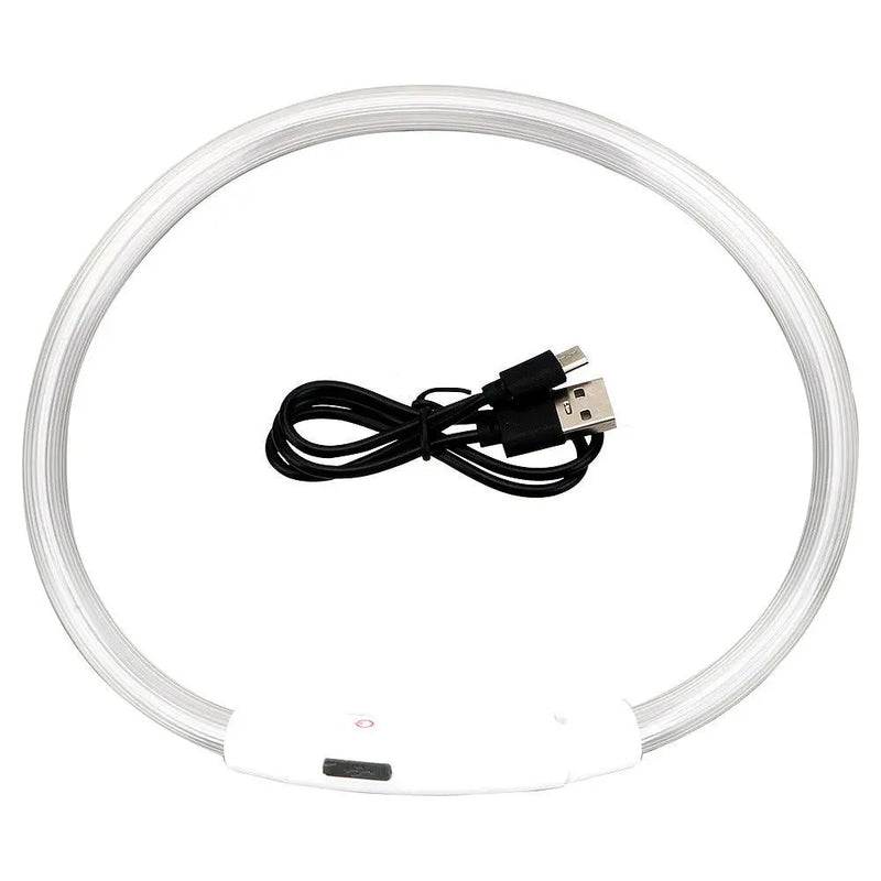 Usb Rechargeable Glow-In-The-Dark Pet Collar With Three Flashing Modes