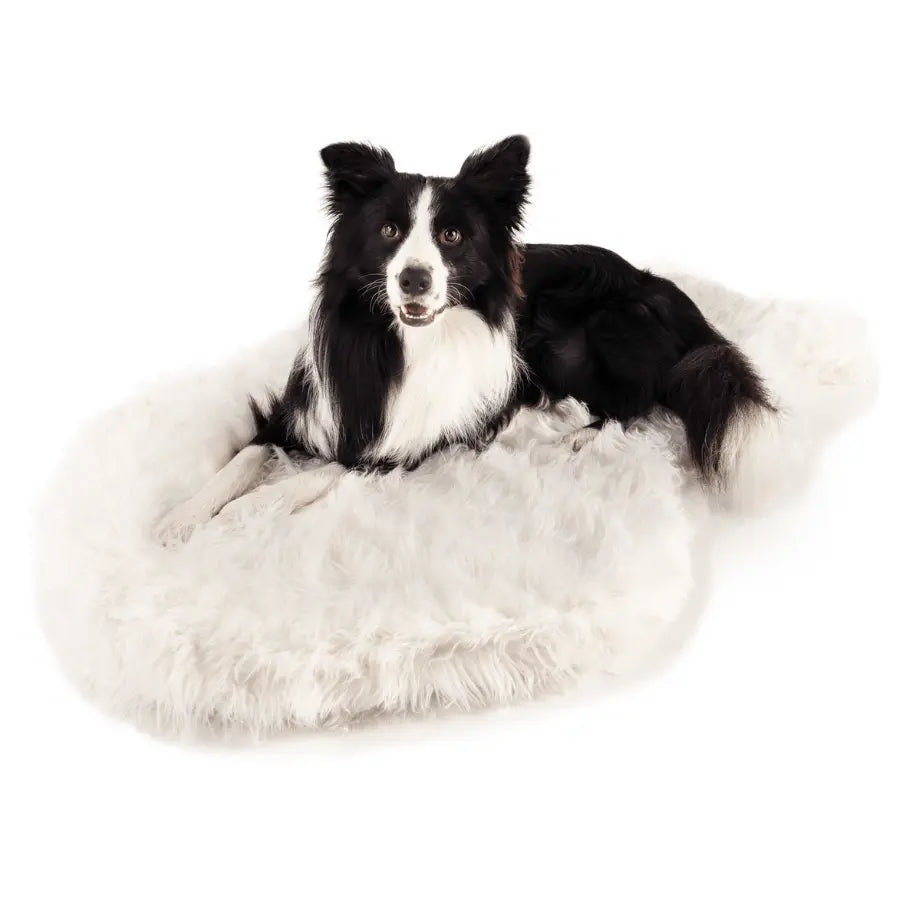 PupRug by Paw.com™ Faux Fur Orthopedic Dog Bed - Curve Polar White Paw.com