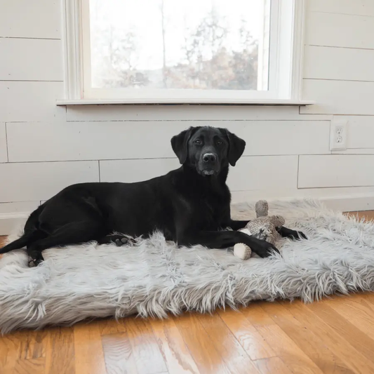 PupRug by Paw.com® Faux Fur Orthopedic Dog Bed - Rectangle Grey Paw.com