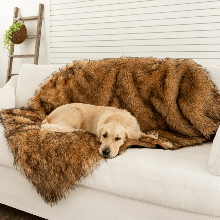 PupProtector™ Waterproof Throw Blanket - Sable Tan Paw.com