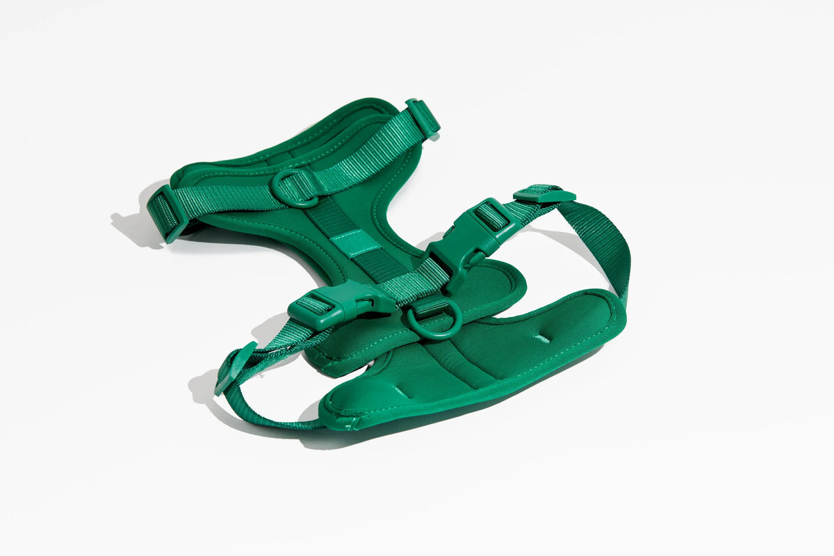 Luxe Harness
