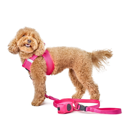 3-in-1 City Dog Leash - Park Ave Pink Dogistry™