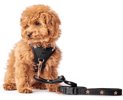 3-in-1 City Dog Leash - Rockstar Dogistry™